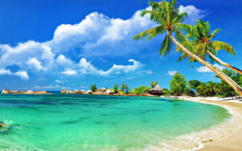 Best Tour And Travel Services In Mumbai